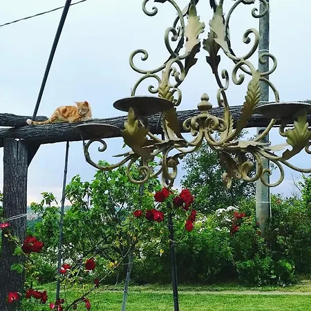 Casa Di Campagna *