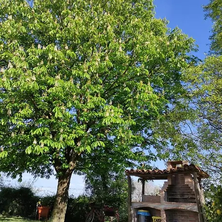 Casa Di Campagna * Cossombrato